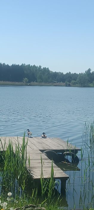 Domek nad zalewem do wynajęcia