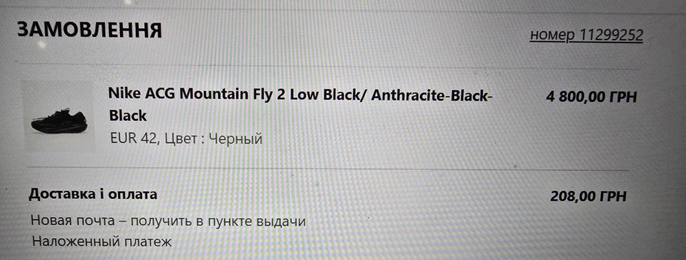 Кросівки Nike ACG mountain fly 2 оригінал