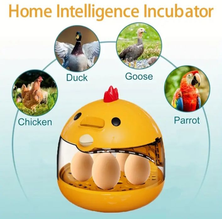 Інкубатор мініатюрний