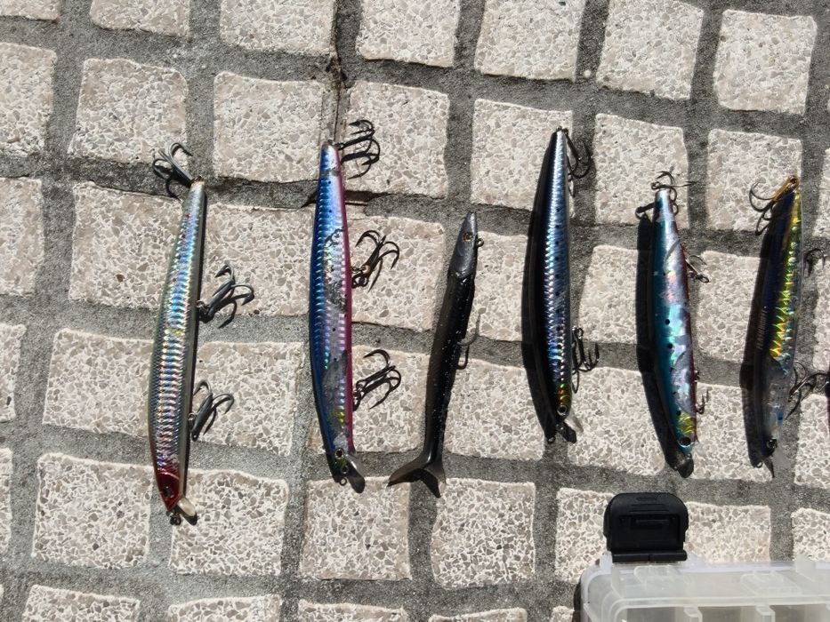 Conjunto pesca spinning