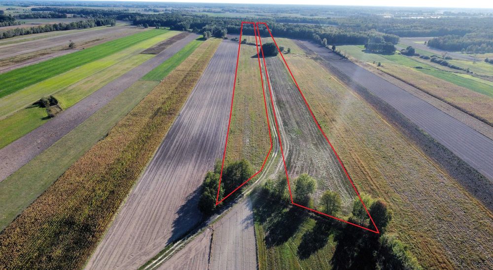 Grunty rolne i leśne Korona, gm. Dębowa Kłoda - Widok 3