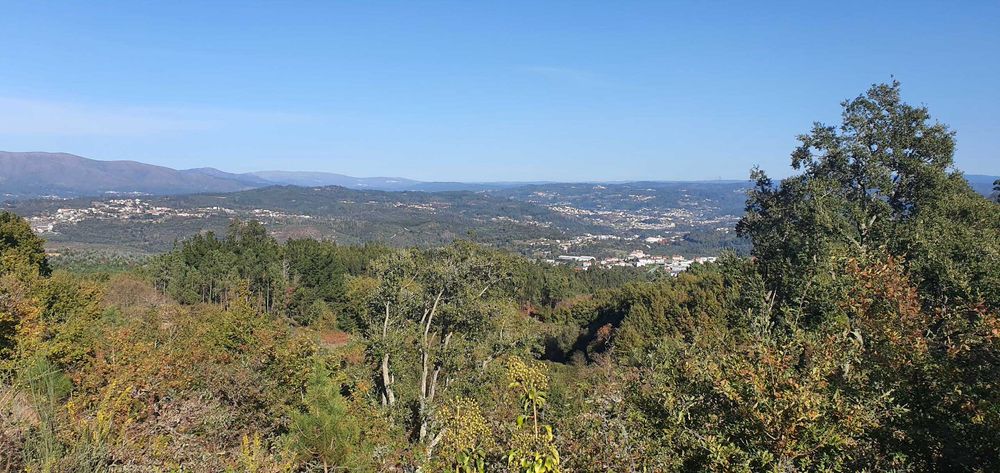 Quinta 2500 m2 em Paços Vilharigues (Vouzela, Viseu) para venda com 1 casa principal e 1 casa secundária, e uma adega centenária