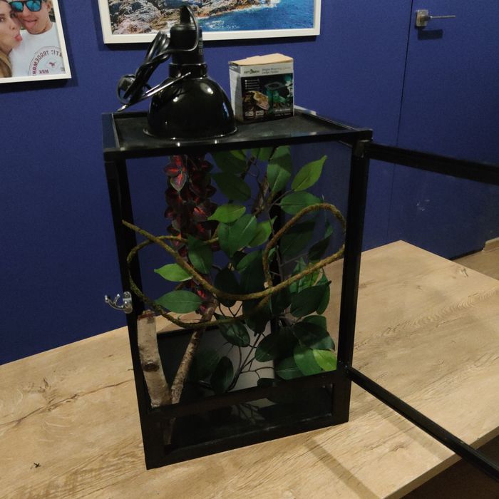 Terrarium flexarium ToxiRium  kameleona jaszczurki pająka 32x32x46 cm
