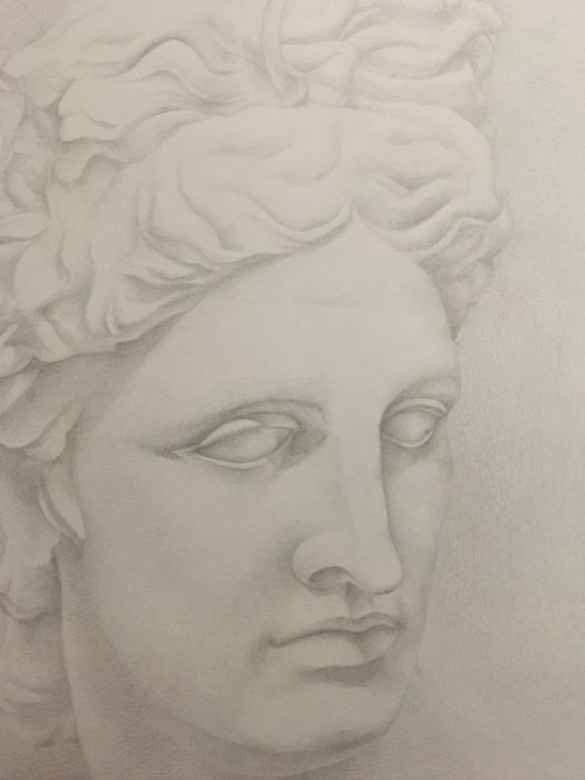 Рисунок грецьких скульптур/графічні роботи/Аполон/Венера/Антиной
