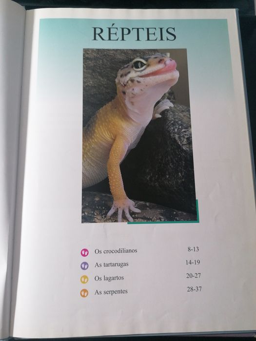 Conjunto de livros de O Mundo Fascinante dos Animais