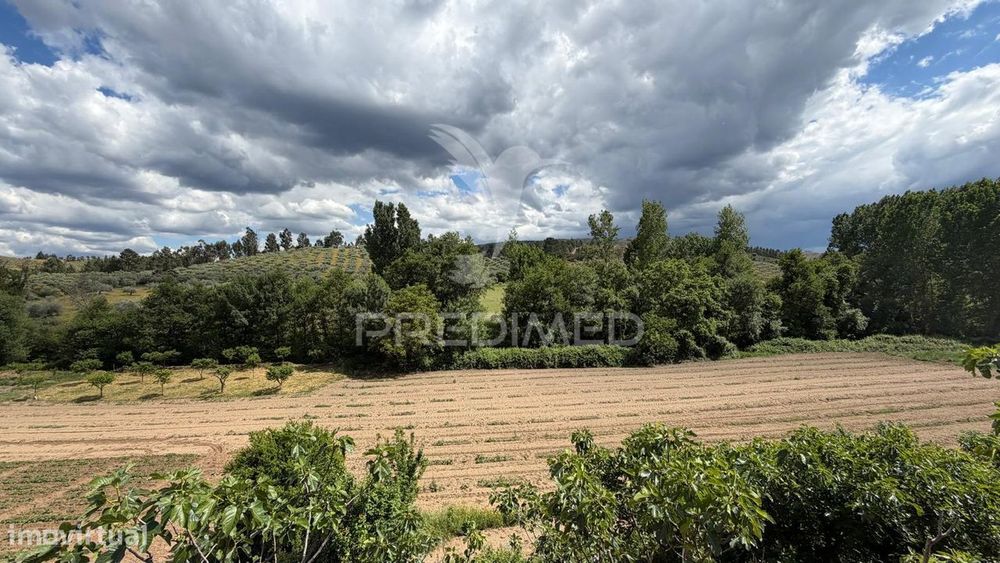 Rustic Land Plot