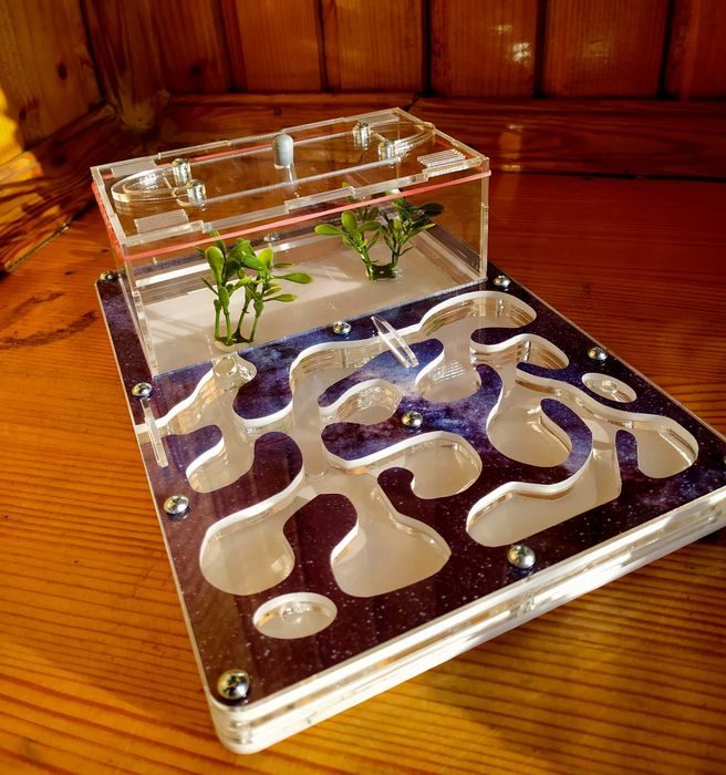 Муравьиная ферма (формикарий) «Anthouse». Полный комплект Space