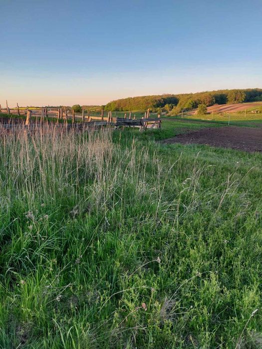 Продам земельну ділянку в селі Банюнин, Львівська обл.