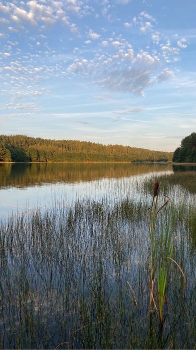 Domek  Na  Kaszubach - Niesiołowce
