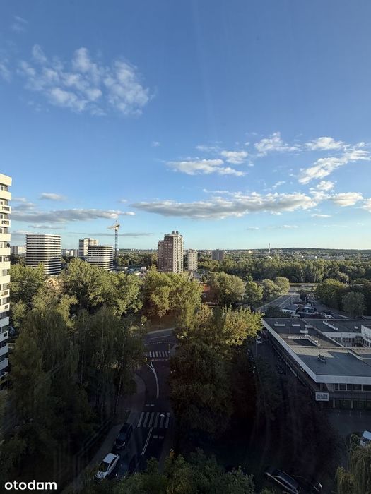 Zdjęcie 8