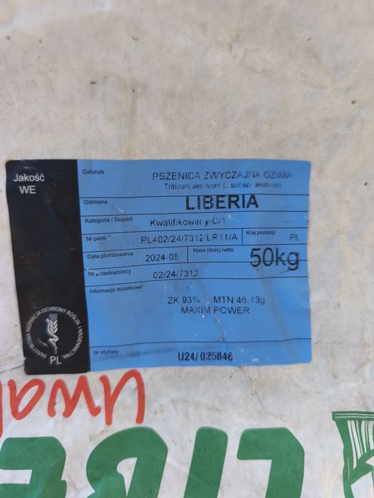 Pszenica Liberia