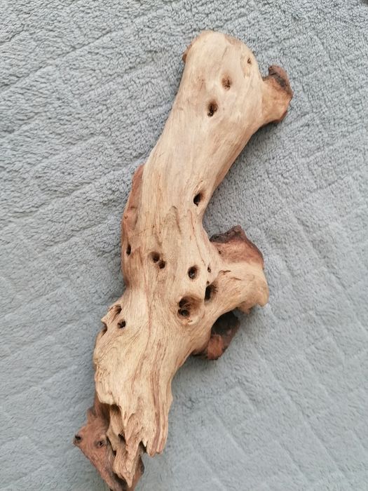 Korzeń do akwarium.