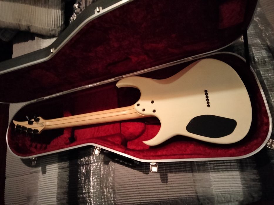 Guitarra elétrica Blakcat Feral 6