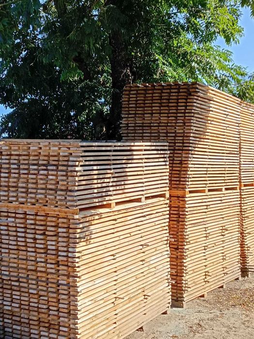 deska szalunkowa sucha 25x120mm | sosna |