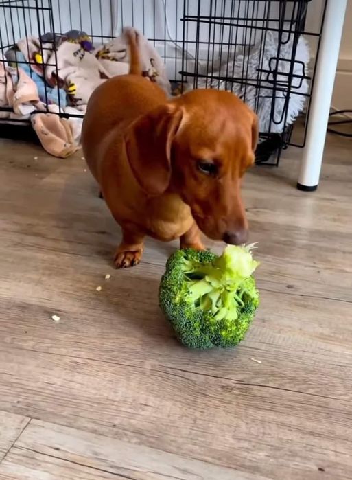 Хлопчики вони дуже хороші