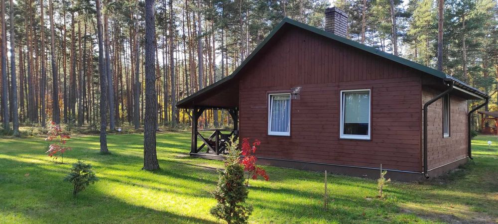 Domki Nad Tanwią, całoroczne z kominkami w sosnowym lesie na Roztoczu.
