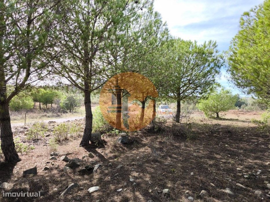 Terreno Com 16.000 M2 - Plano - Eletricidade - Torneiro Em Alcoutim...