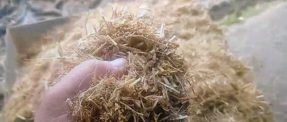 Suchy STMR dla cieląt cielak jałoszka byczek