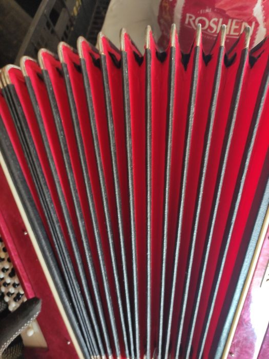 Баян Школьнік (стан нового)