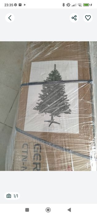 Pinheiro de Natal com dois metros de altura em bom estado