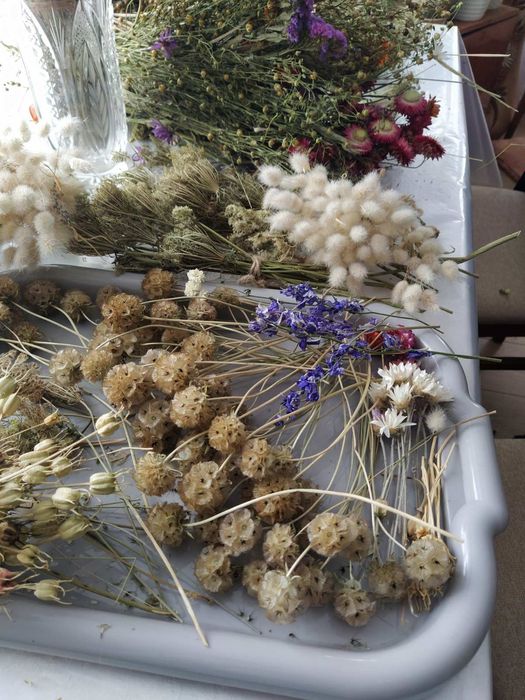 Сушені квіти та трави, натуральні, не оброблені