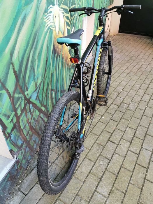 Cannondale XL rower górski