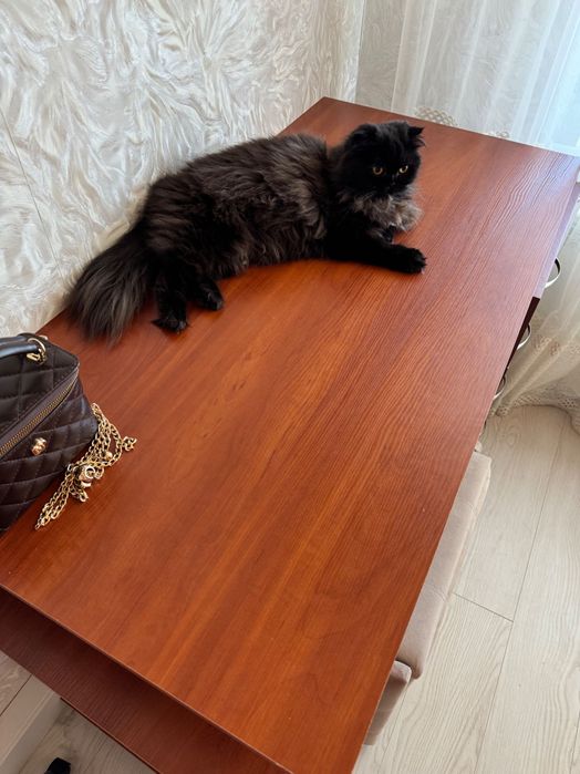Столик письмовий, гарний стан та приємна ціна