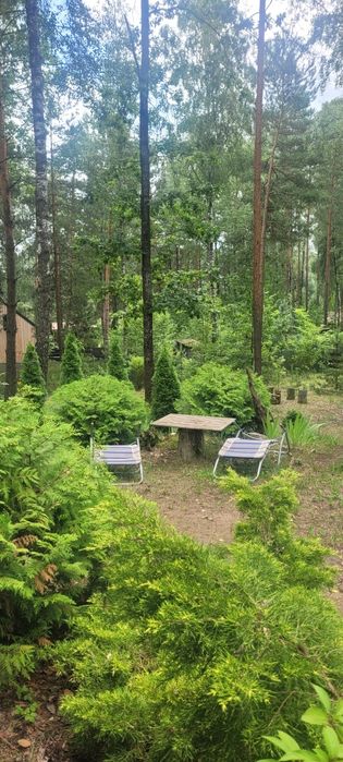 Działka nad jeziorem letniskowa