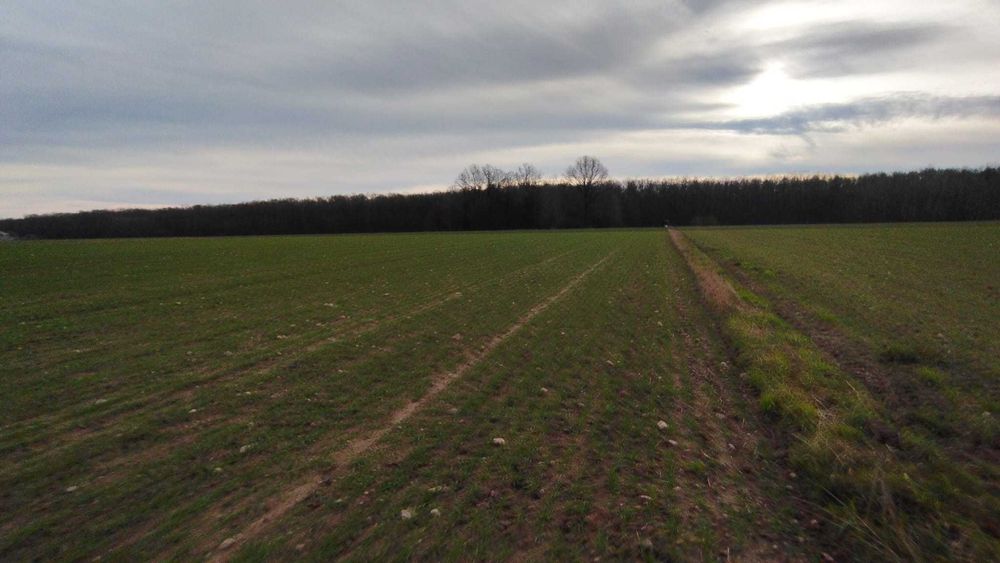 Sprzedam działkę rolna