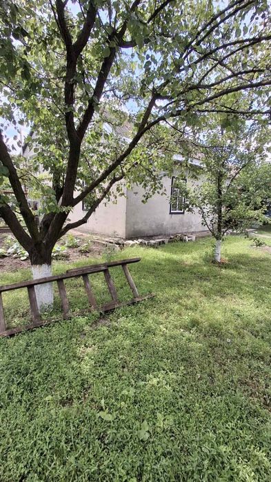 Продам  маленький 2к будиночок  30 кв м Кам‘янське Романково - View 2