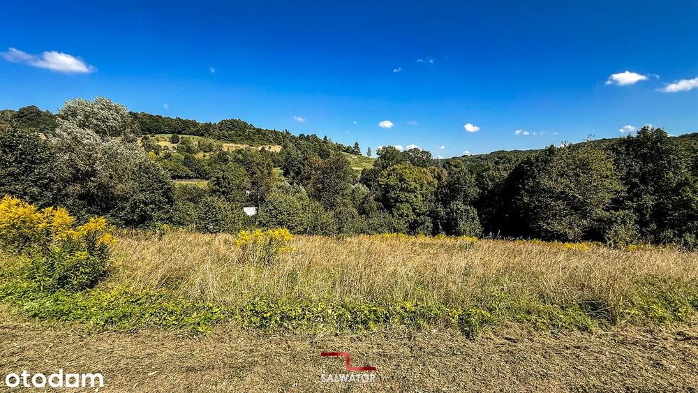Widokowa na las 15 ar Paczółtowice gm. Krzeszowice - Widok 2