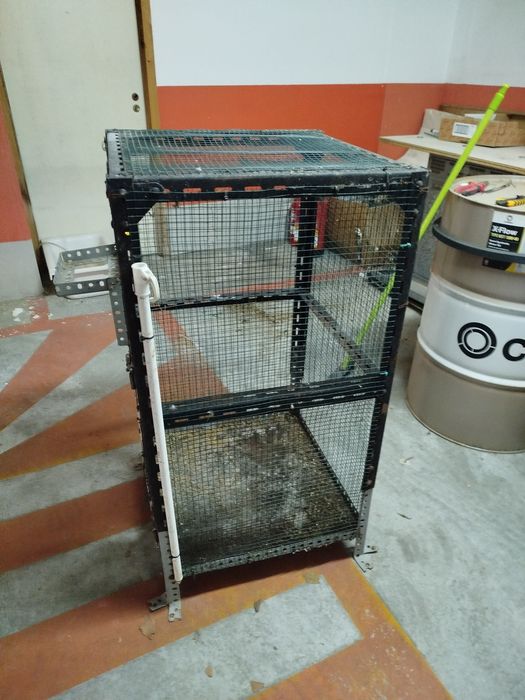 Gaiola para pássaros