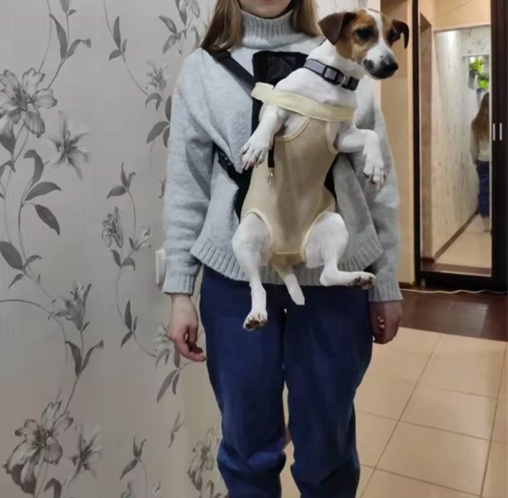 Слінг-переноска/сумка для маленьких собак