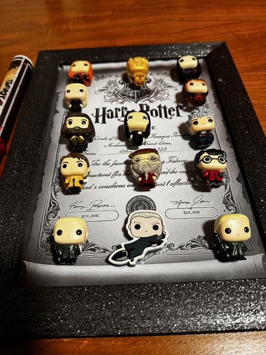 Quadro harry potter