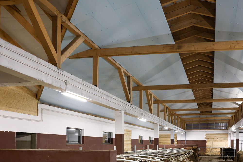 Płyta Ocieplana Ocieplająca do Kurnika Obory Chlewni Styrodur XPS AGRO