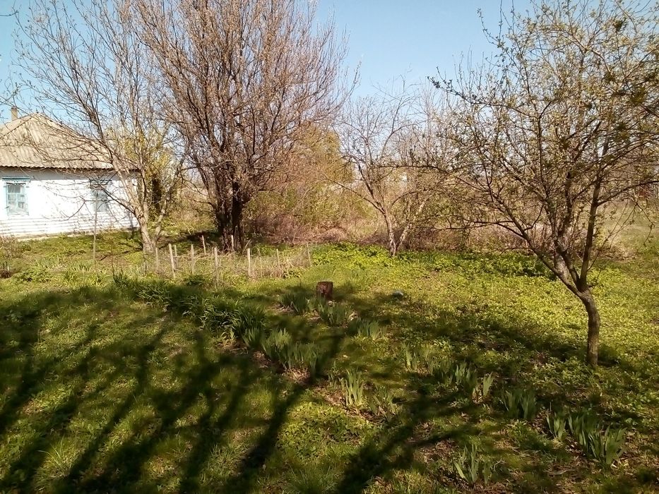 Продажа участка 53сотки