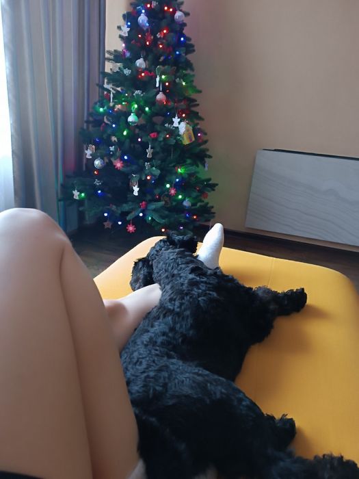 Платим за любофф