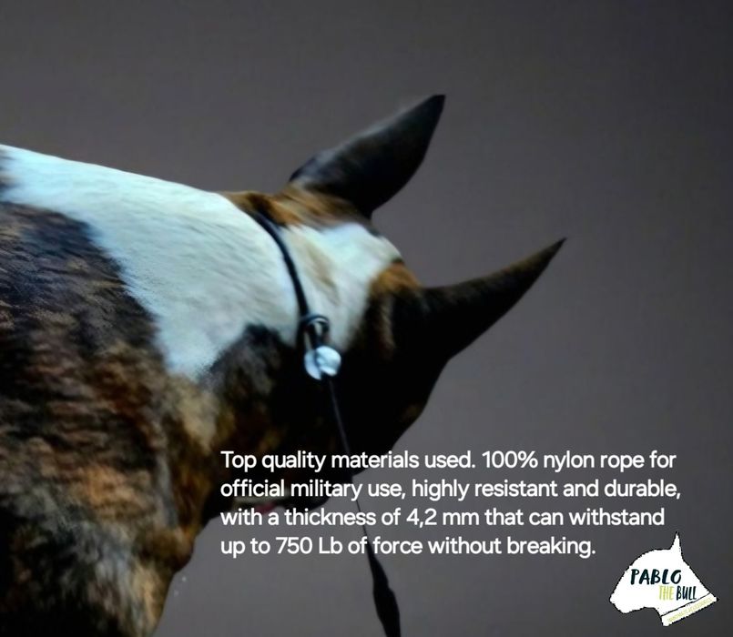 Coleira trela anti puxão slip lead cão