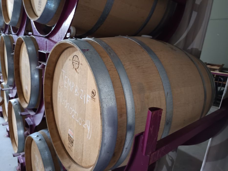 Lotes barricas 225L ex-tinto