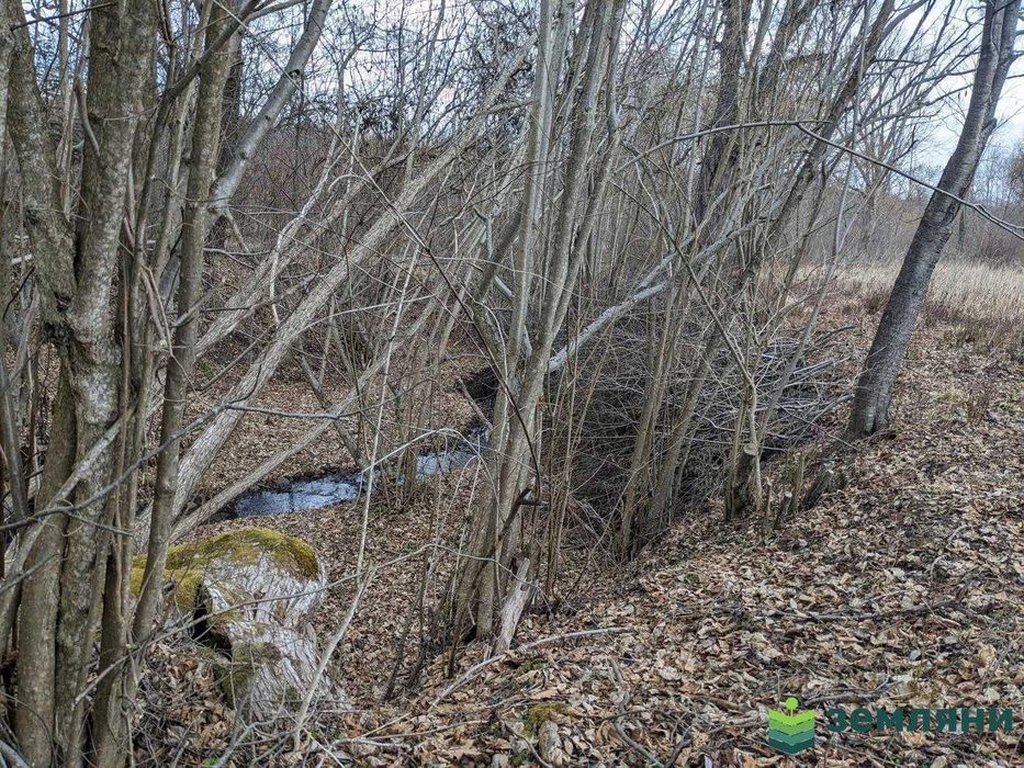 Земельна ділянка в селі Посіч 11км від Франківська (1)