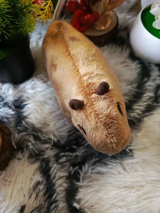 Kapibara fajna maskotka pluszak