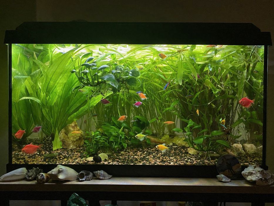 Акваріум Juwel 60л