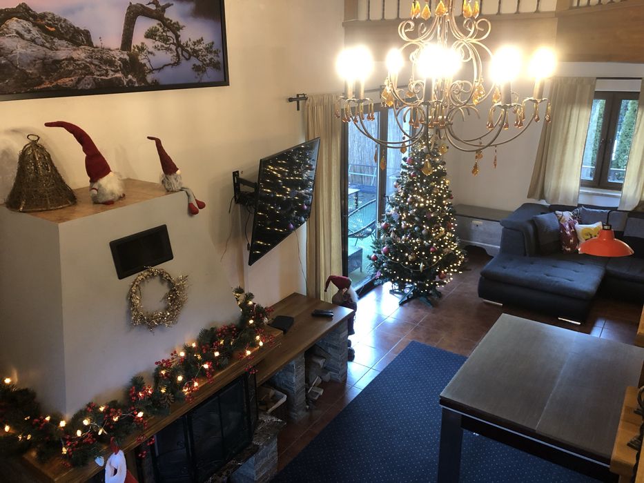 Willa Jagoda duży domek w górach 12 osób jacuzzi kominek bilard