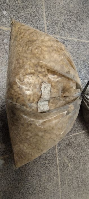 Cola termofusivel Rakoll