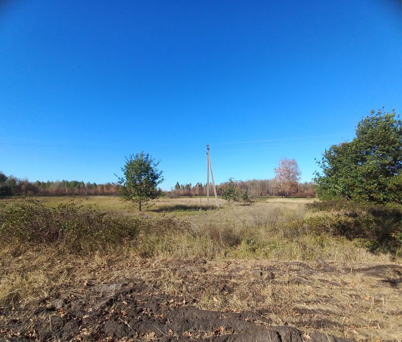 Продам Дом в с.Лошаков Гута, участок 25сот. Киевское море