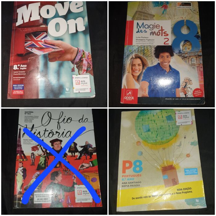 Manuais/ livros escolares 8° ano