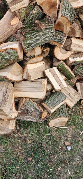 Drewno kominkowe opałowe Wiąz