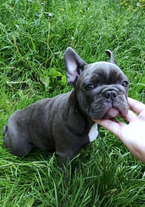 Хлопчик розкішний типаж