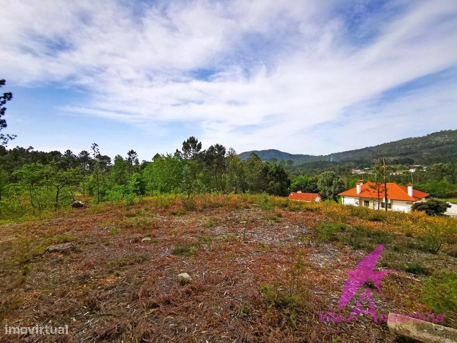 Terreno em Nogueira com vista desafogada