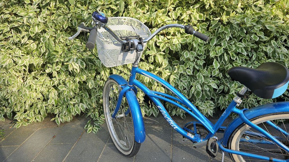 Rower electra, rower miejski